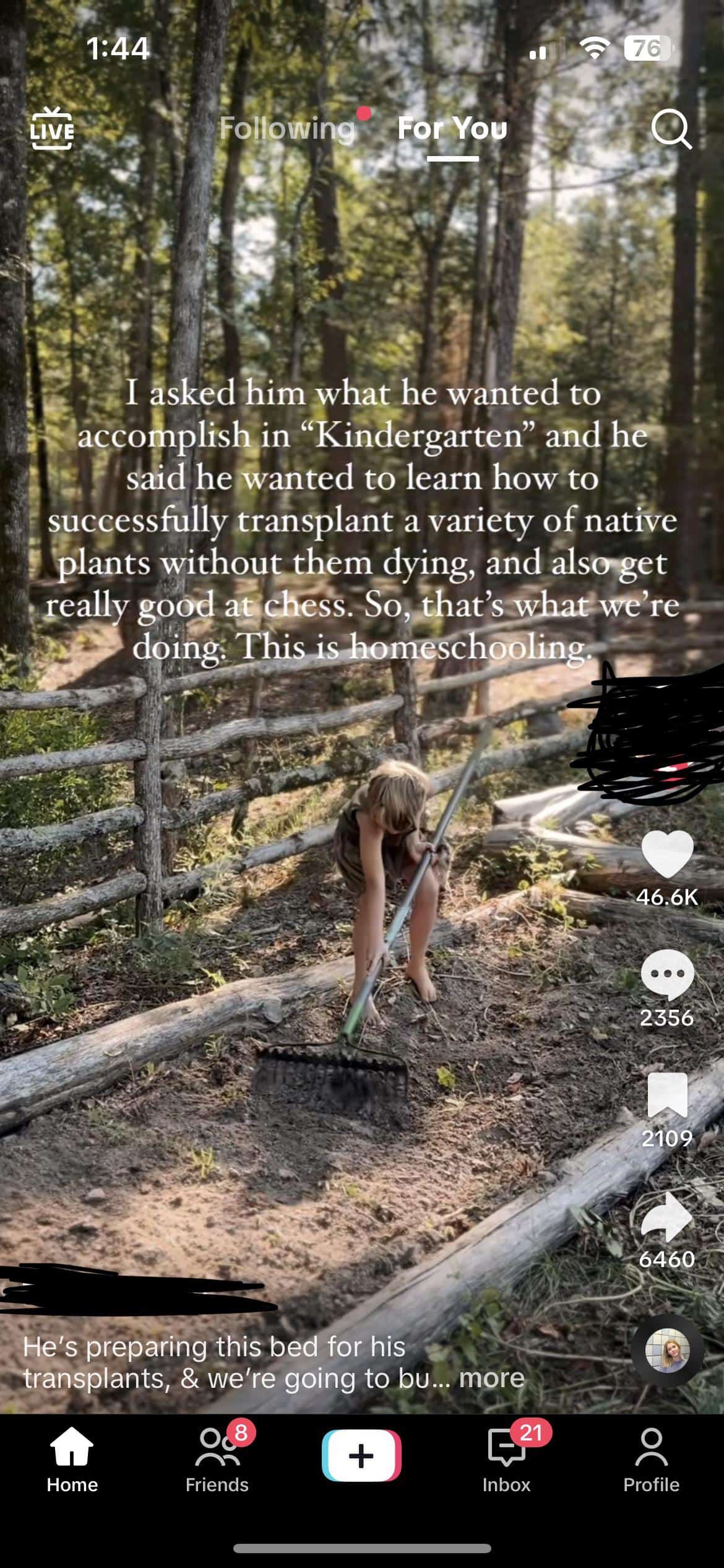 I asked him what he wanted to accomplish in "Kindergarten" and he said he wanted to learn how to successfully transplant a variety of native plants without them dying, and also get really good at chess. So, that's what we're doing. This is homeschooling