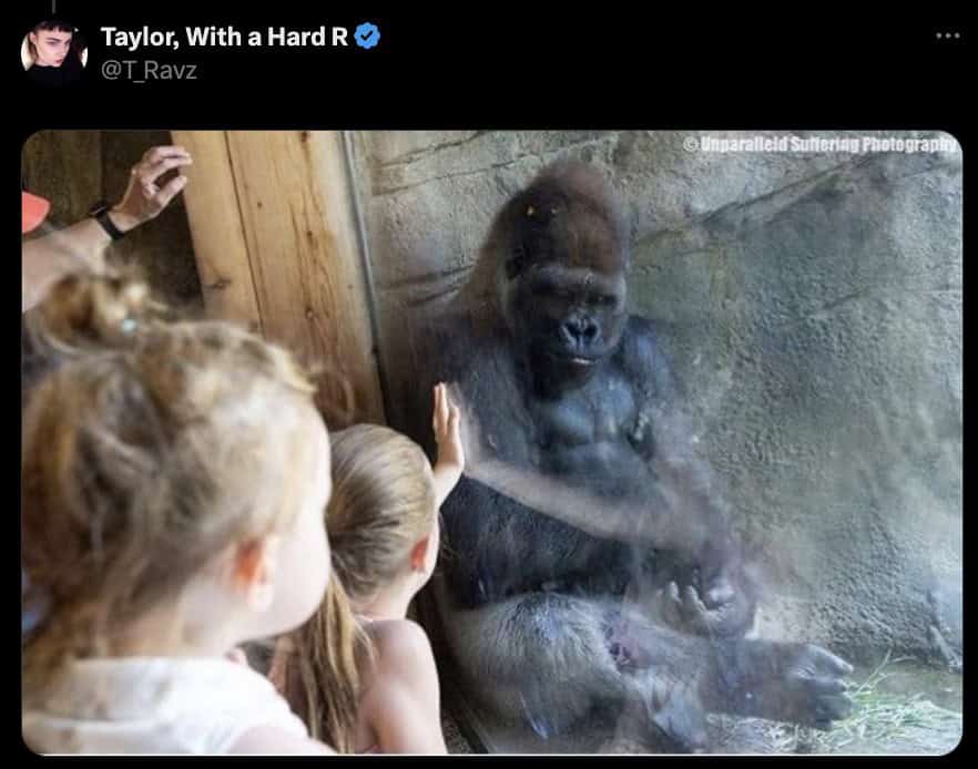 Trump behind glass memes, trump bulletproof glass memes, trump glass memes, trump memes