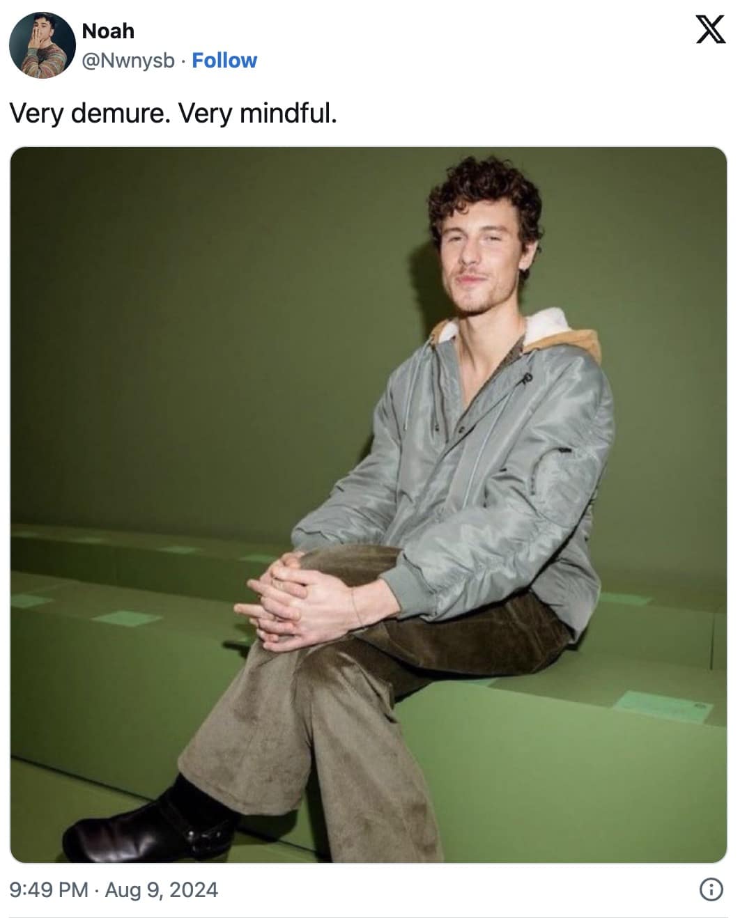 very demure very mindful memes, very demure memes, very mindful memes, very demure, very mindful, Social Media Memes, Beauty Influencer Memes, Viral Trend Memes