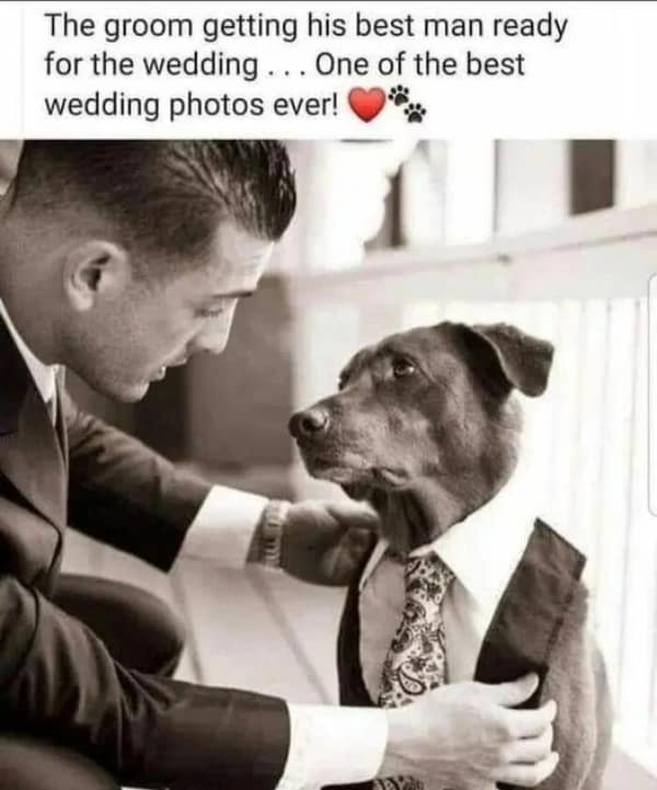 wholesome memes, heartwarming images, uplifting memes, feel-good memes, touching pictures, heartening photos, positive memes, happy memes, inspiring memes, motivational memes