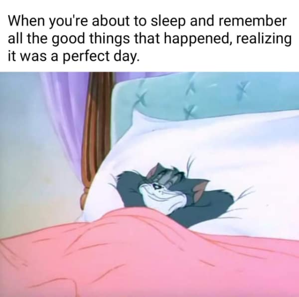 wholesome memes, heartwarming memes, feel-good memes, touching pictures, heartening photos, positive memes, happy memes, inspiring memes