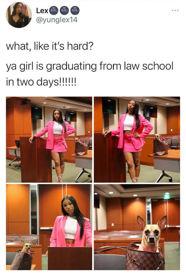 wholesome memes, women celebrating their wins, Empowering women memes, Uplifting content for women, Women’s wins memes