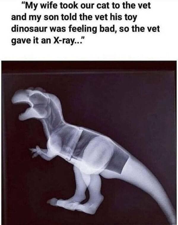 wholesome memes, heartwarming images, uplifting memes, feel-good memes, touching pictures, heartening photos, positive memes, happy memes, inspiring memes, motivational memes