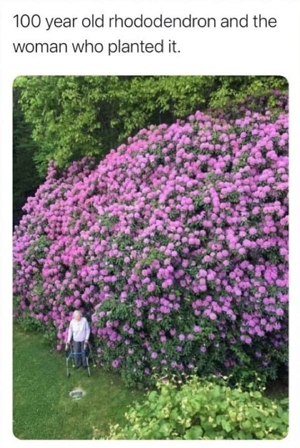 wholesome memes, women celebrating their wins, Empowering women memes, Uplifting content for women, Women’s wins memes