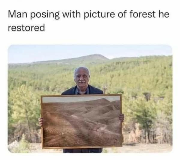 wholesome memes, heartwarming memes, feel-good memes, touching pictures, heartening photos, positive memes, happy memes, inspiring memes