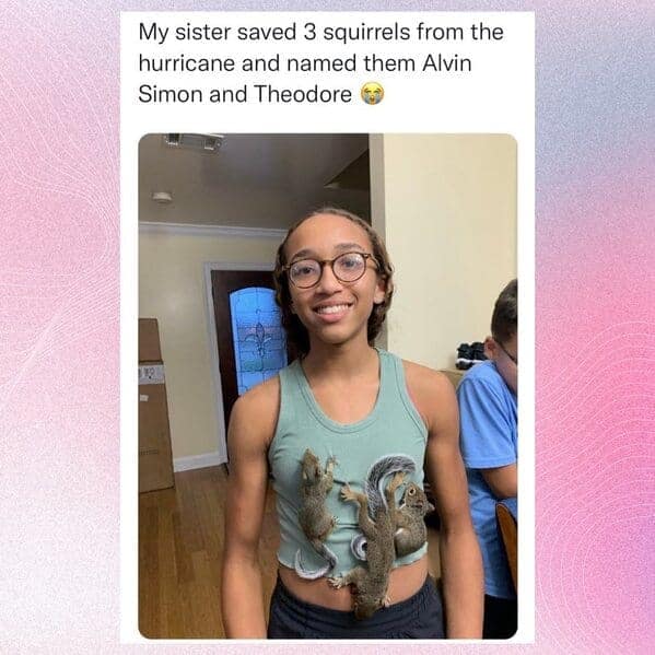 wholesome memes, women celebrating their wins, Empowering women memes, Uplifting content for women, Women’s wins memes