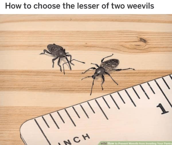 wikihow memes, Funny parodies, Relatable humor memes, Everyday life memes