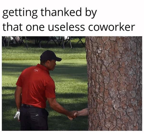 work memes. getting thanked by that one useless coworker