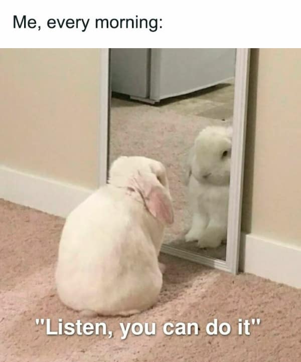 Me, every morning: "Listen, you can do it"