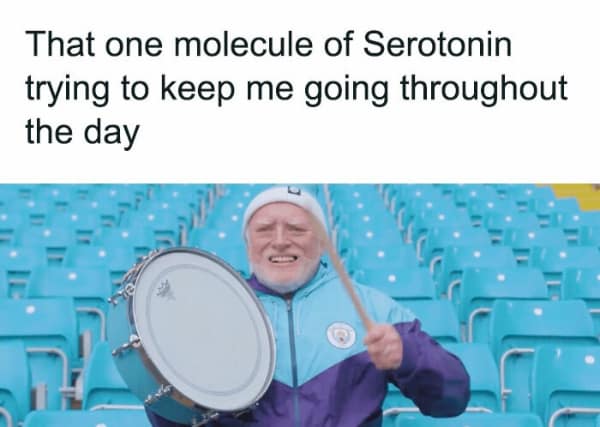 That one molecule of Serotonin trying to keep me going throughout the day