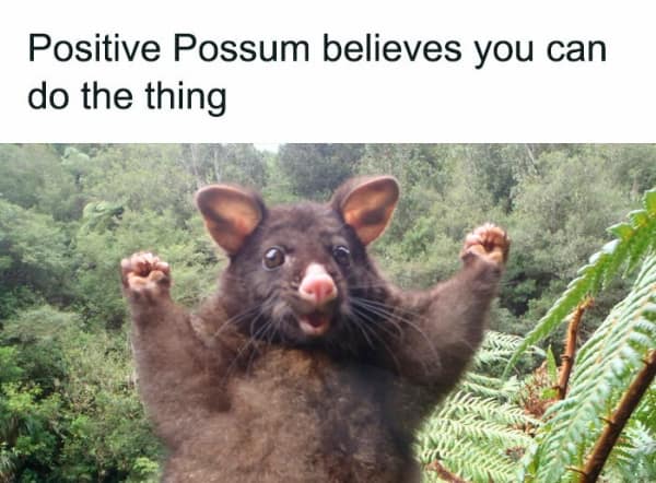 Positive Possum believes you can do the thing