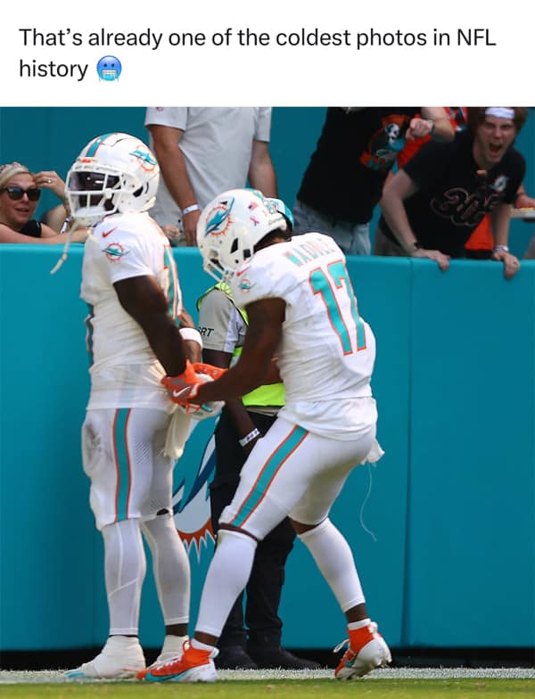 NFL memes, football memes, NFL season reactions