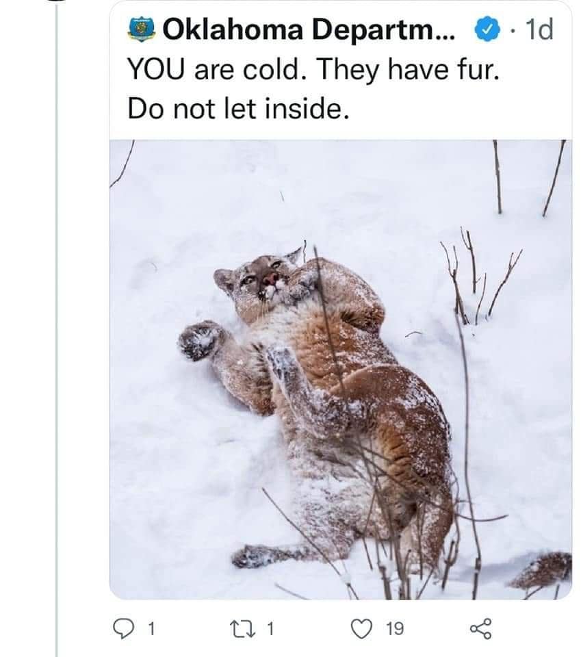 OKwildlifedept, okwildlifedept, funny Twitter threads, viral tweets