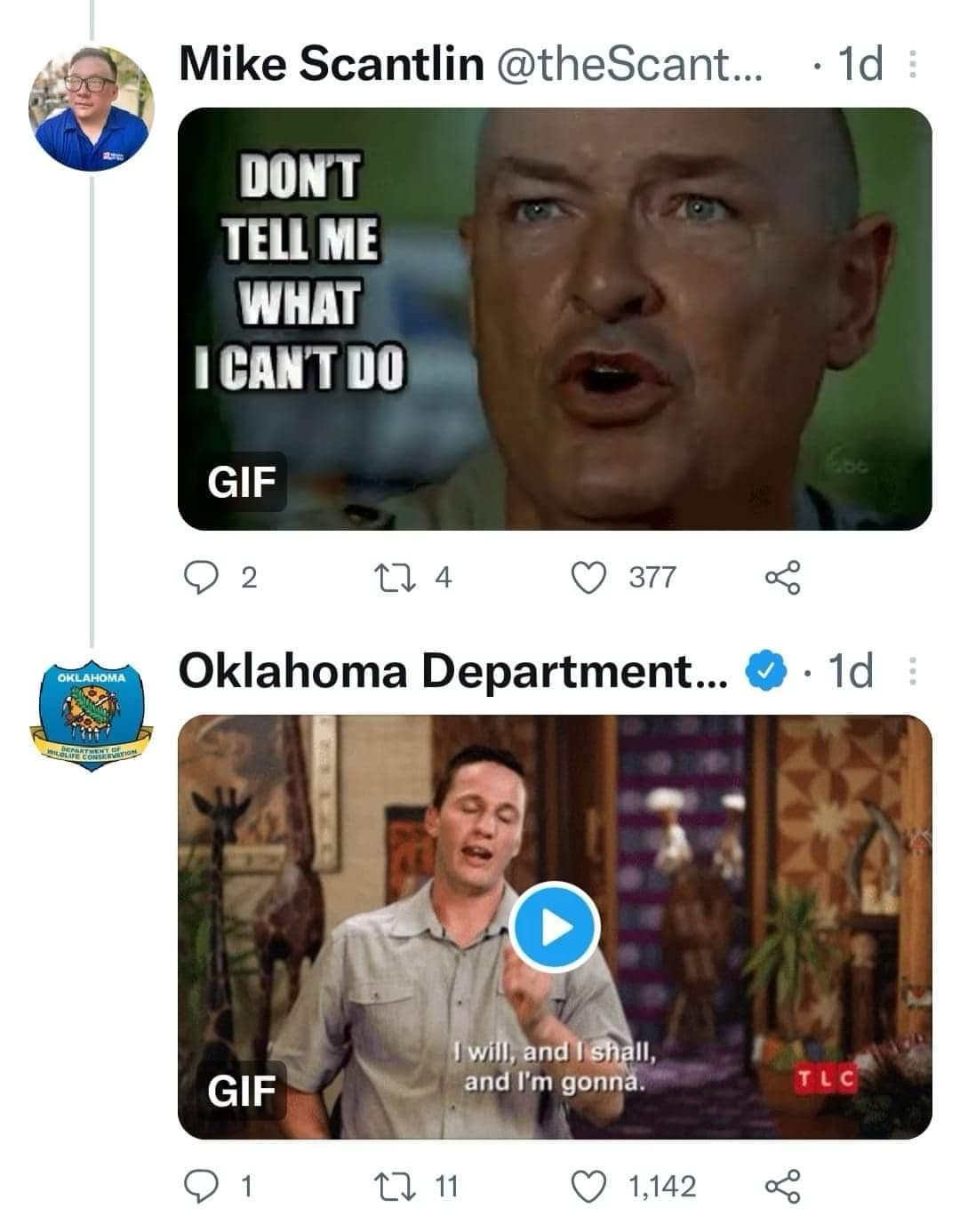 OKwildlifedept, okwildlifedept, funny Twitter threads, viral tweets