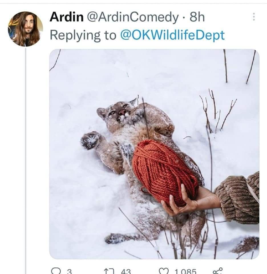 OKwildlifedept, okwildlifedept, funny Twitter threads, viral tweets