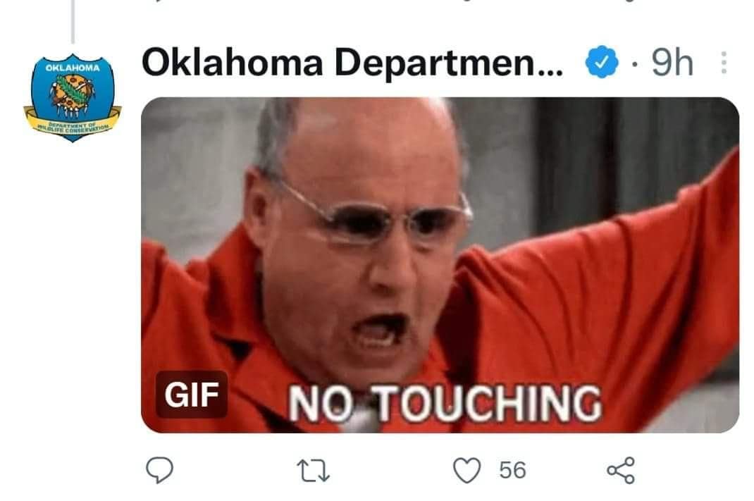 OKwildlifedept, okwildlifedept, funny Twitter threads, viral tweets