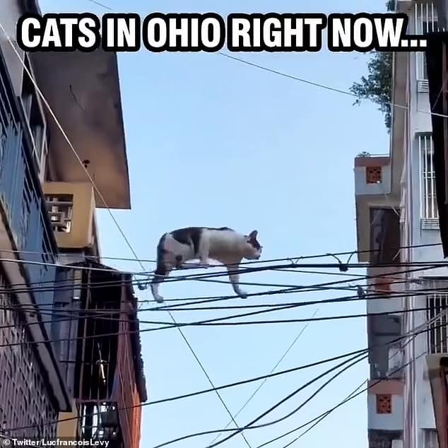 eating the dogs memes, eating the cats memes, Trump debate memes, political gaffe memes