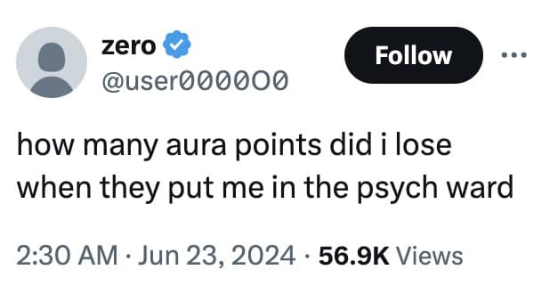 aura points memes, aura memes, aura meme, aura points meme template, aura meme, good aura, bad aura, positive aura, negative aura
