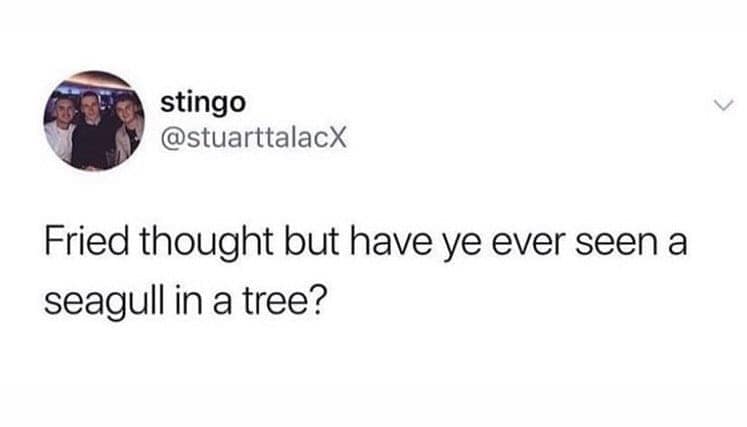 bird memes, birb memes, birdwatcher memes, bird jokes, avian humor, feathered memes, ornithological humor, bird-themed jokes