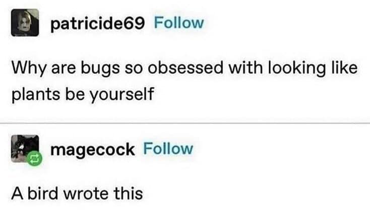 bird memes, birb memes, birdwatcher memes, bird jokes, avian humor, feathered memes, ornithological humor, bird-themed jokes