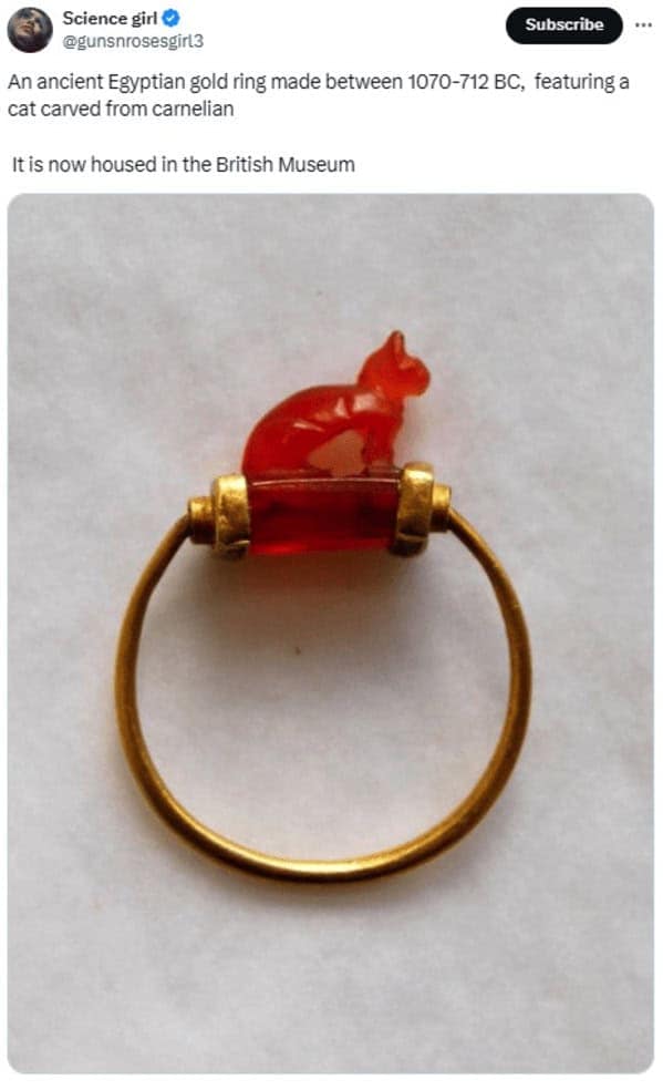 cat memes, cat tweets, funny cat memes, hilarious cat memes, cat humor, funny animal memes, pet humor, funny pet memes, animal jokes, animal fails, pet memes