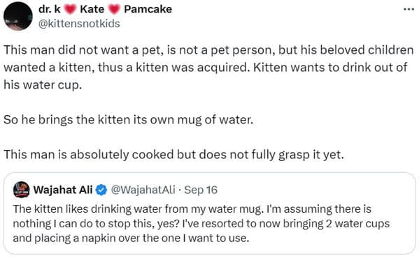 cat memes, cat tweets, funny cat memes, hilarious cat memes, cat humor, funny animal memes, pet humor, funny pet memes, animal jokes, animal fails, pet memes