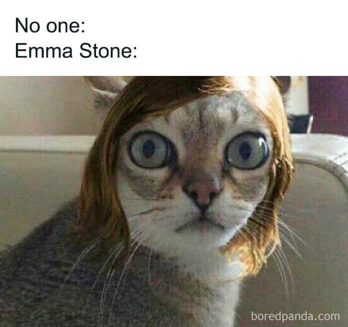 No one: Emma Stone: