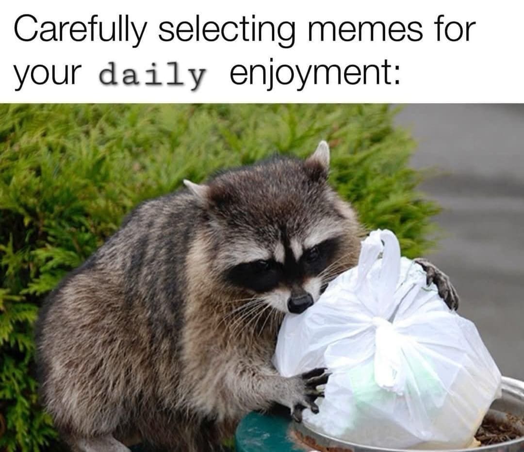 classic memes, vintage memes, viral tweets, funny memes, timeless memes, viral internet jokes, popular tweets, internet humor, trending tweets, viral internet posts, famous memes