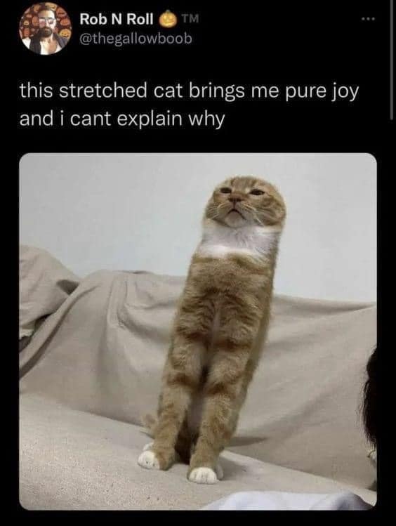 classic memes, viral tweets, vintage memes, nostalgic memes, internet history memes