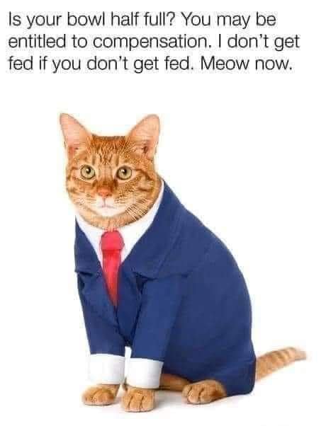 classic memes, vintage memes, viral tweets