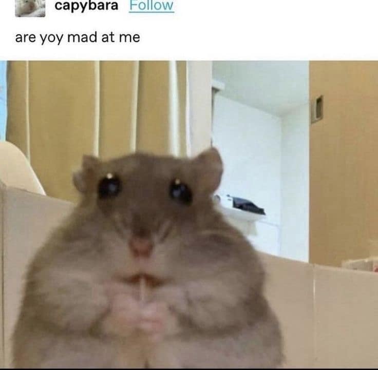 classic memes, vintage memes, viral tweets, timeless memes, internet classics, iconic memes, legendary tweets, evergreen memes