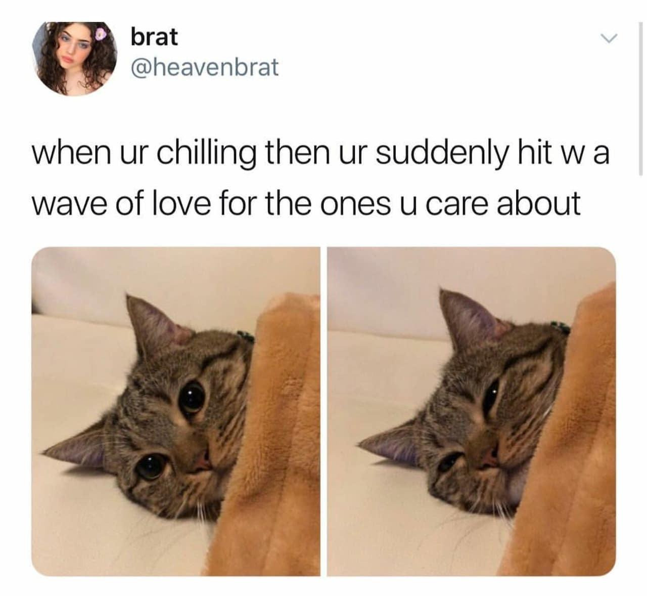 classic memes, vintage memes, viral tweets, timeless memes, internet classics, iconic memes, legendary tweets, evergreen memes