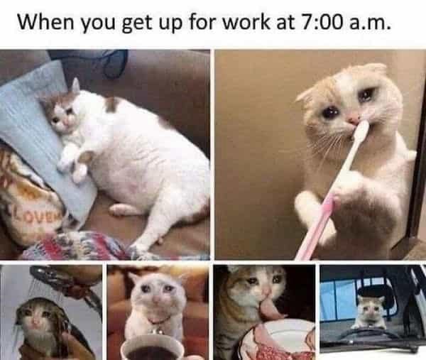 classic memes, vintage memes, viral tweets