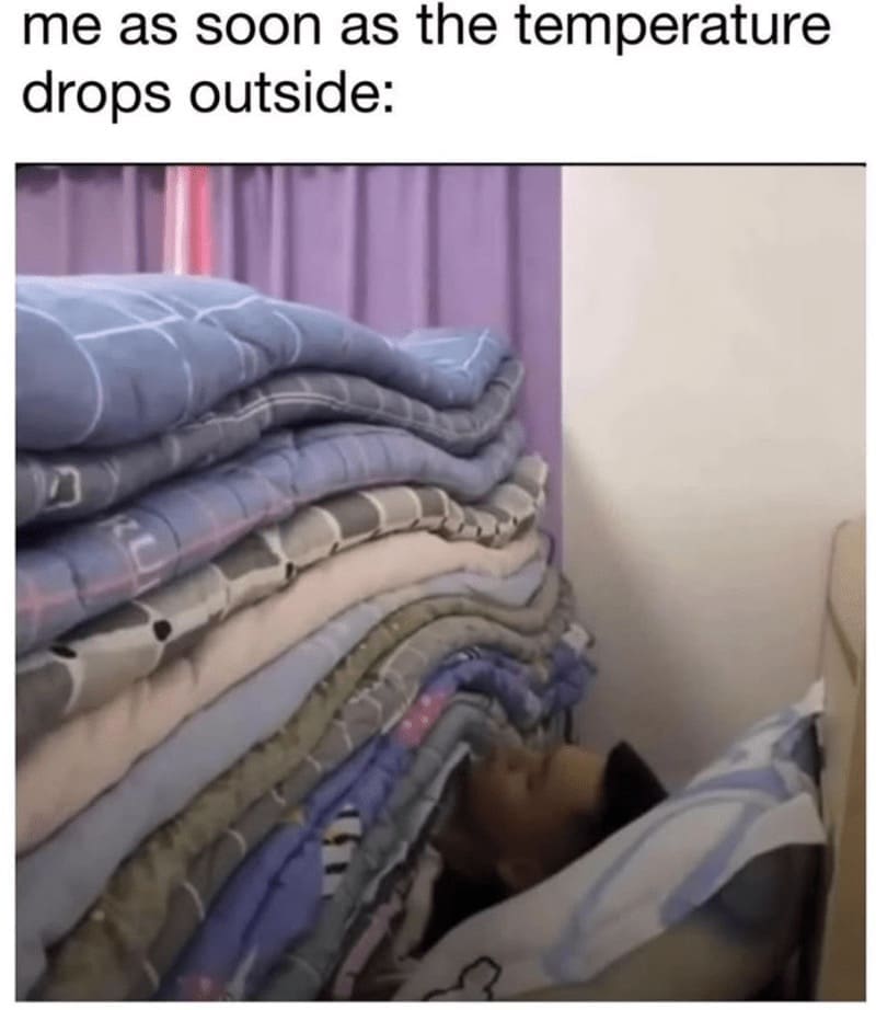 classic memes, vintage memes, viral tweets, funny memes, timeless memes, viral internet jokes, popular tweets, internet humor, trending tweets, viral internet posts, famous memes