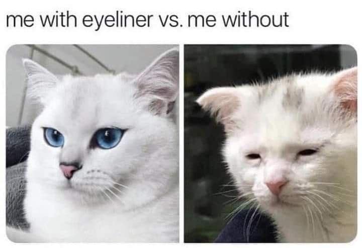classic memes, vintage memes, viral tweets
