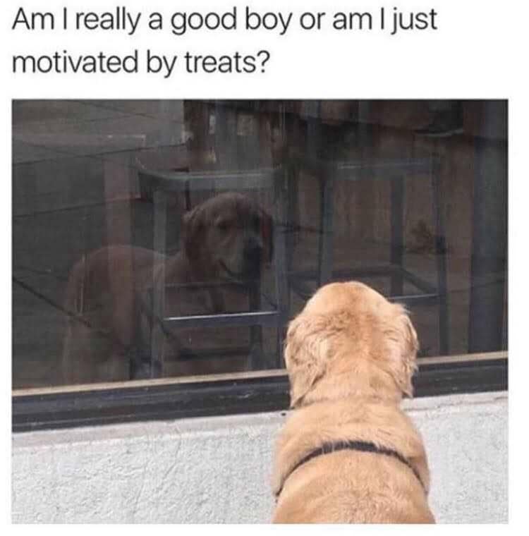 classic memes, viral tweets, vintage memes, nostalgic memes, internet history memes