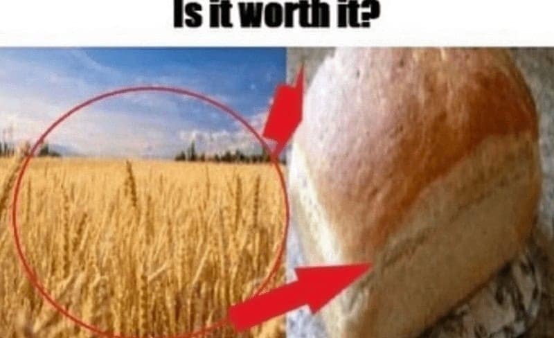 cooking memes, food memes, funny cooking memes, kitchen memes, food humor, funny chef memes, food jokes, culinary humor