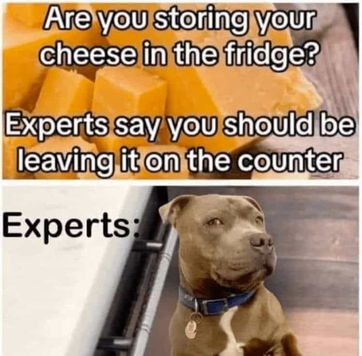 cooking memes, food memes, funny cooking memes, kitchen memes, food humor, funny chef memes, food jokes, culinary humor