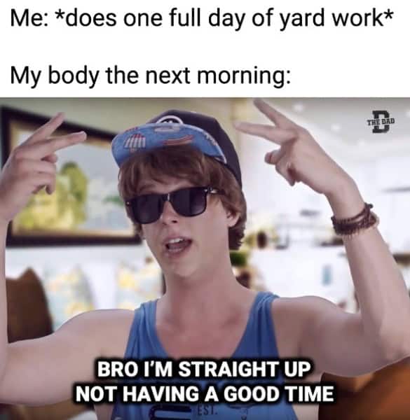 dad memes, dad jokes, father humor, cringe-worthy humor, paternal memes, papa jokes, parental humor