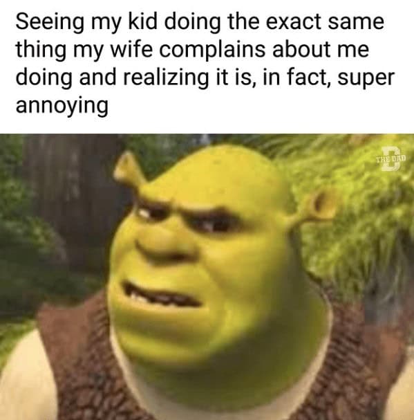 dad memes, dad jokes, father humor, cringe-worthy humor, paternal memes, papa jokes, parental humor