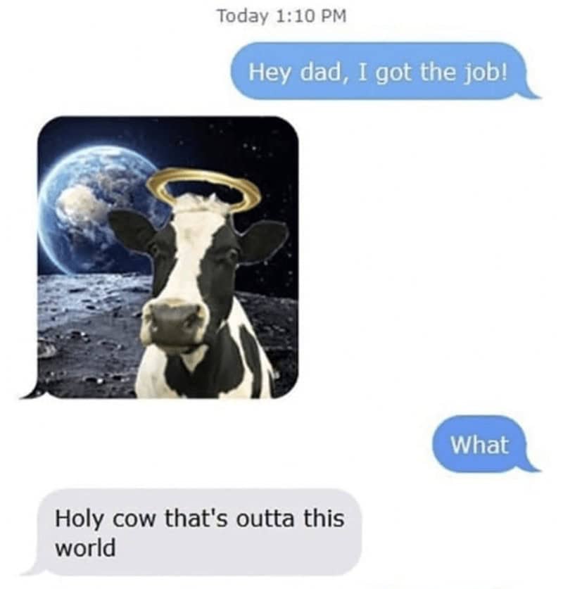 dad memes, dad jokes, father humor, cringe-worthy humor, paternal memes, papa jokes, parental humor