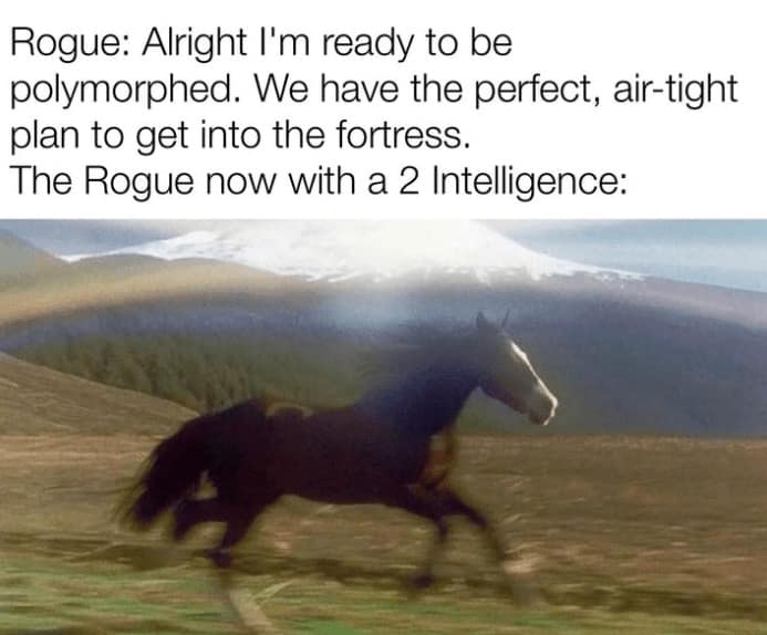 D&D memes, dnd memes, Dungeons & Dragons memes, tabletop gaming memes, nerd culture memes, dungeon master jokes, character creation memes, tabletop RPG memes, role-playing game humor, fantasy memes