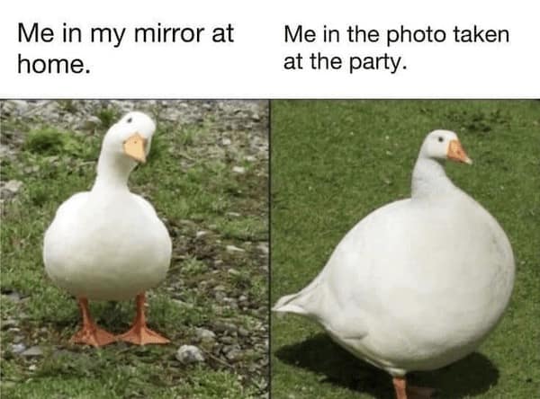 depressing memes, dark humor memes, relatable memes, funny sad memes, bleak memes, melancholy humor