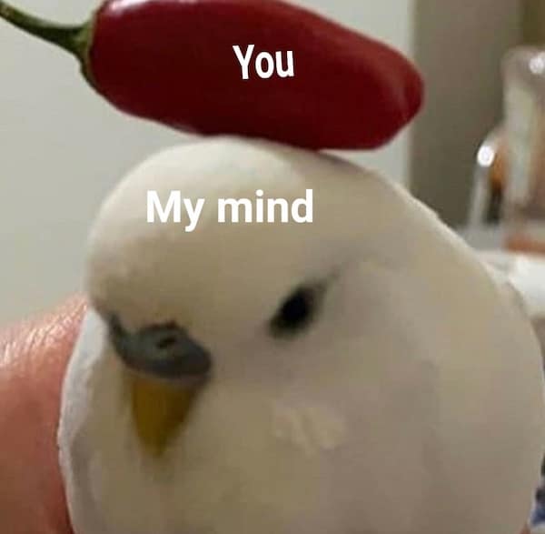 You My mind