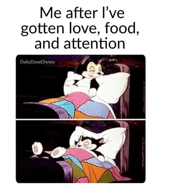 disney memes, disney humor, Animated Comedy, Fairy Tale Jokes, Mickey Mouse Memes, Princess Comedy, Disney Movie Humor