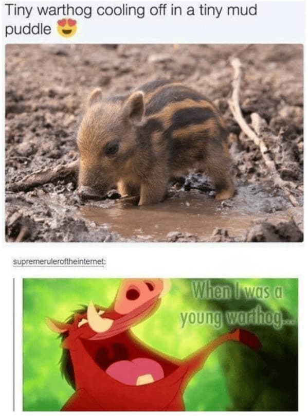 disney memes, disney humor, Animated Comedy, Fairy Tale Jokes, Mickey Mouse Memes, Princess Comedy, Disney Movie Humor