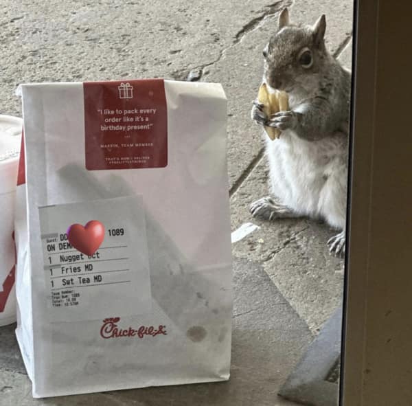 doordash memes, food delivery memes, ubereats memes