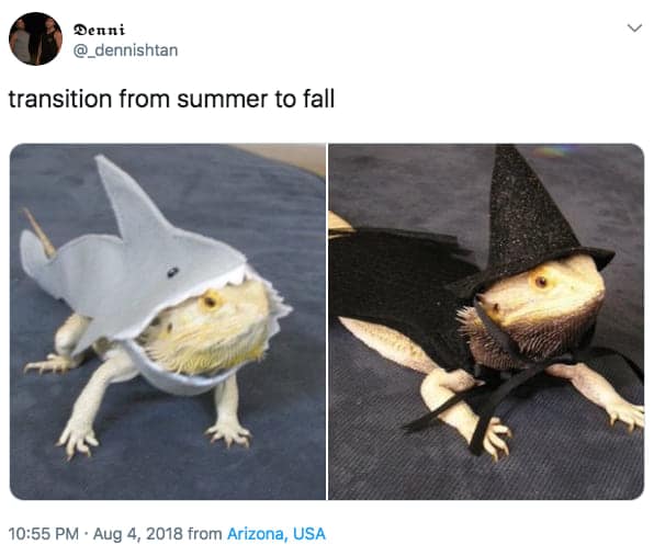 transition from summer to fall