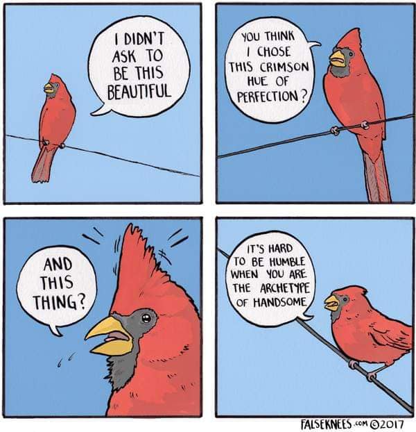 falseknees, falseknees comics, false knees, false knees comics, Webcomics, Surreal humor