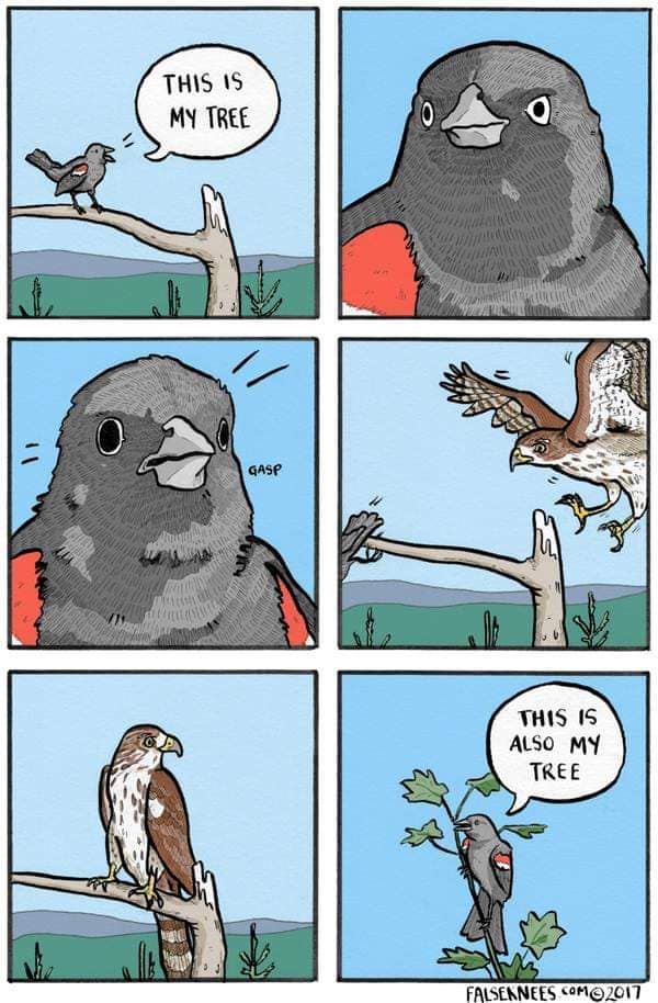 falseknees, falseknees comics, false knees, false knees comics, Webcomics, Surreal humor